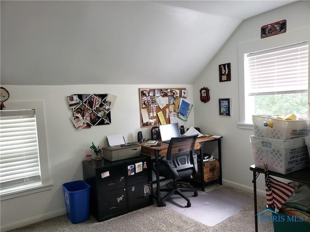 254 Fremont St, Elmore, OH 43416 - office featuring lofted ceiling and light carpet
