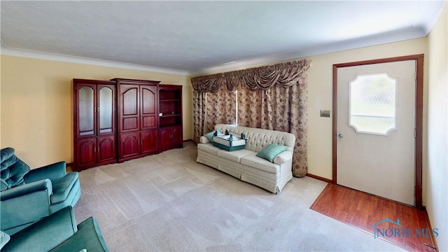 11232 Elm St, Dunbridge, OH 43414 - living area featuring light colored carpet and ornamental molding