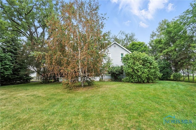 5660 Rd 180, Antwerp, OH 45813 - view of green lawn
