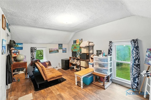 5660 Rd 180, Antwerp, OH 45813 - home office with lofted ceiling, wood finished floors, and a textured ceiling