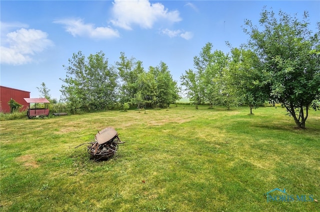 5660 Rd 180, Antwerp, OH 45813 - view of grassy yard