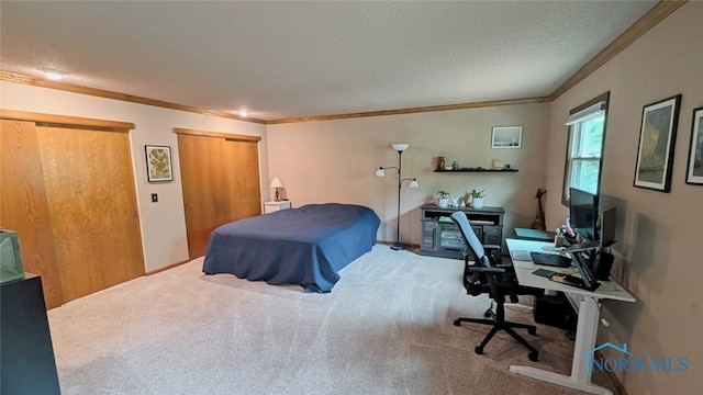 2359 Cheshire Woods Rd, Toledo, OH 43617 - bedroom with ornamental molding, two closets, a textured ceiling, carpet, and a desk