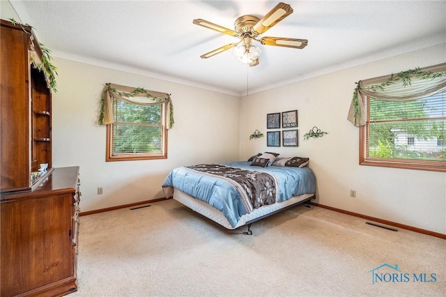 701 Holly Ln, Delta, OH 43515 - photo 13