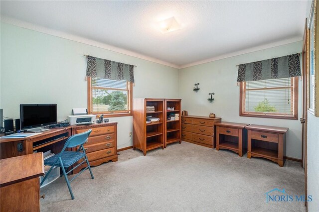 701 Holly Ln, Delta, OH 43515 - photo 18