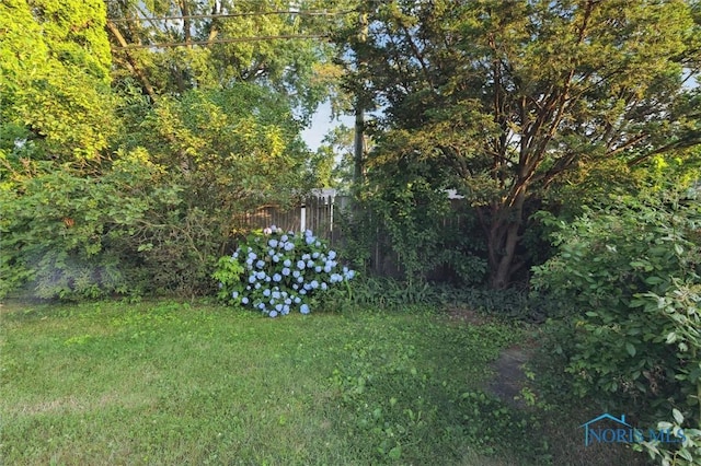 3129 Elmview Dr, Toledo, OH 43613 - view of yard
