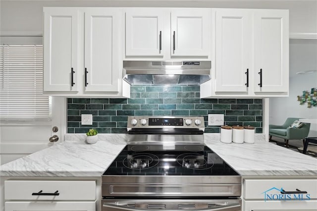 3129 Elmview Dr, Toledo, OH 43613 - kitchen featuring electric range, under cabinet range hood, white cabinets, tasteful backsplash, and light stone counters