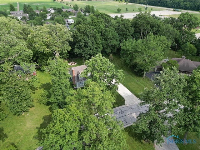 229 Hawthorn Dr, Archbold, OH 43502 - bird's eye view of a tree filled landscape