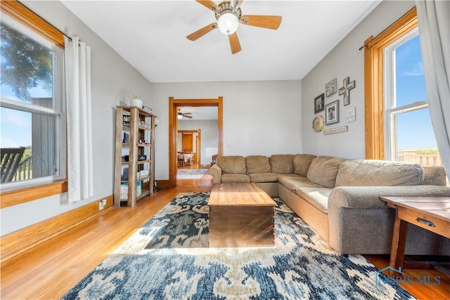 22804 State Route 2, Archbold, OH 43502 - living room featuring ceiling fan and wood finished floors