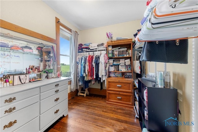 22804 State Route 2, Archbold, OH 43502 - spacious closet with dark wood finished floors