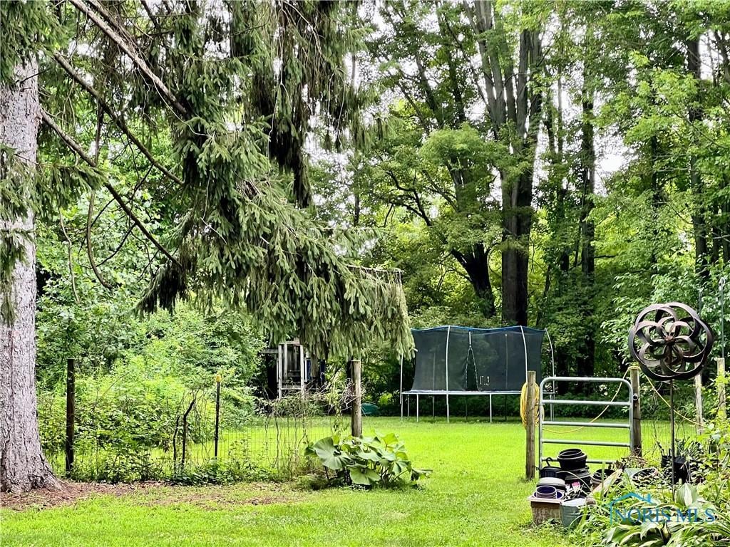 12262 Monclova Rd, Swanton, OH 43558 - view of grassy yard with a trampoline