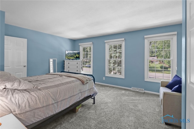 6627 Garden Rd Unit 6627, Maumee, OH 43537 - carpeted bedroom with baseboards