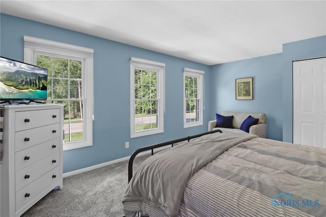 6627 Garden Rd Unit 6627, Maumee, OH 43537 - bedroom with carpet and baseboards