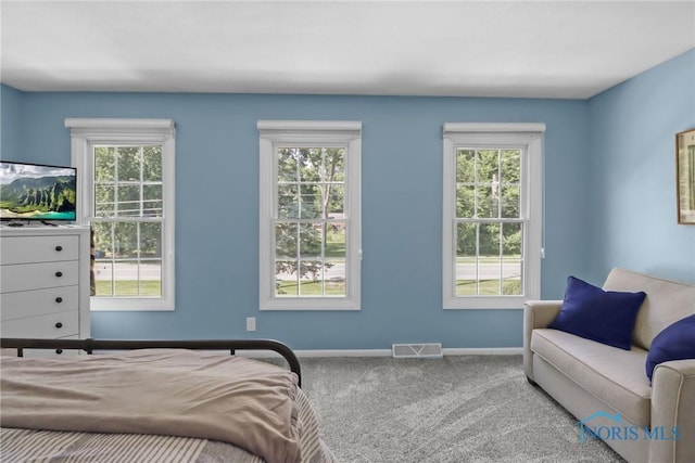 6627 Garden Rd Unit 6627, Maumee, OH 43537 - bedroom with multiple windows and carpet flooring