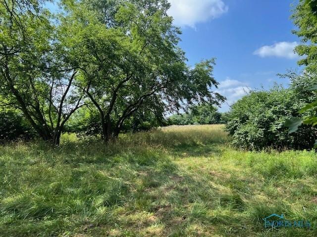 6681 County Road 21, Risingsun, OH 43457 - photo 8