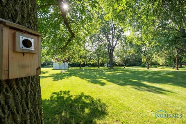 28773 Hufford Rd, Perrysburg, OH 43551 - photo 11