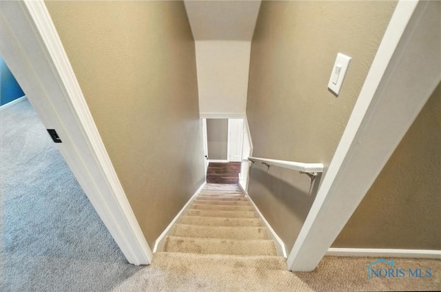 2838 Secor Rd, Toledo, OH 43606 - staircase featuring carpet floors and a textured wall