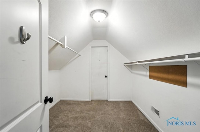 2838 Secor Rd, Toledo, OH 43606 - walk in closet with carpet floors and lofted ceiling