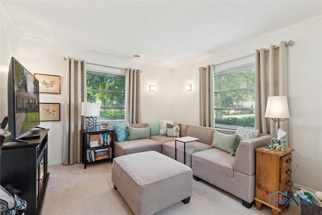 3468 Hughes Blvd, Toledo, OH 43606 - living room with plenty of natural light, light carpet, and crown molding