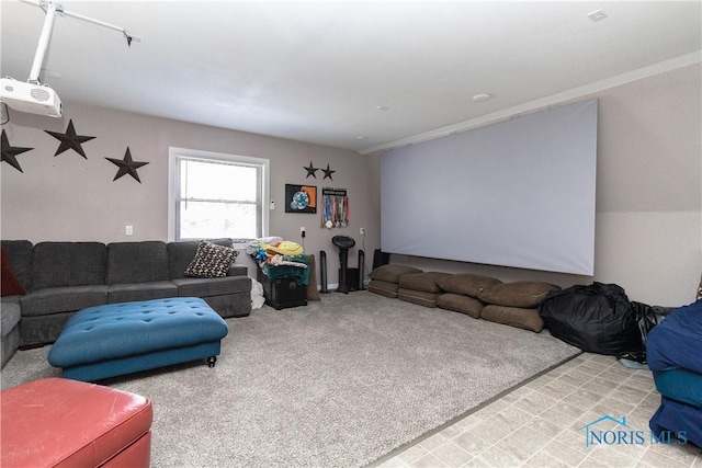 8411 Larch Rd, Toledo, OH 43617 - view of carpeted living room