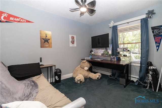 8411 Larch Rd, Toledo, OH 43617 - carpeted office space with ceiling fan and baseboard heating