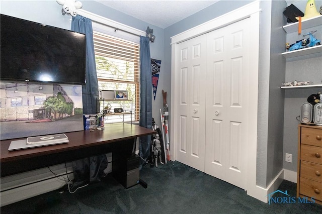 8411 Larch Rd, Toledo, OH 43617 - view of carpeted office