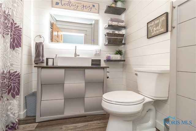 8411 Larch Rd, Toledo, OH 43617 - bathroom with wood finished floors and vanity