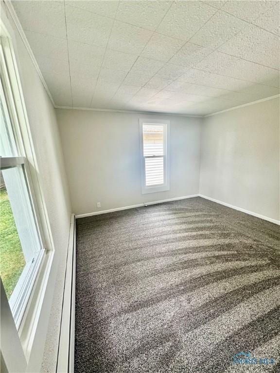 339 N E Ave, Deshler, OH 43516 - carpeted spare room featuring ornamental molding and baseboard heating