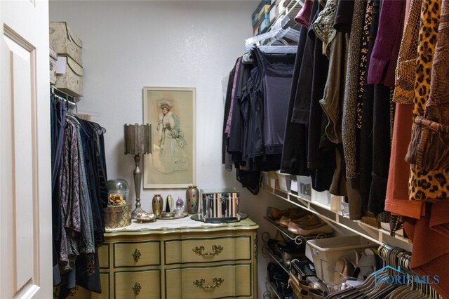 1533 Eaglebrook Rd Unit 1533, Toledo, OH 43615 - view of spacious closet