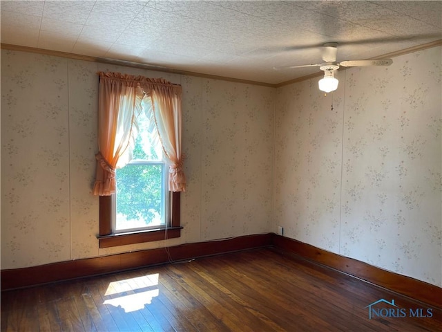 202 Spencerville St, Hicksville, OH 43526 - photo 7