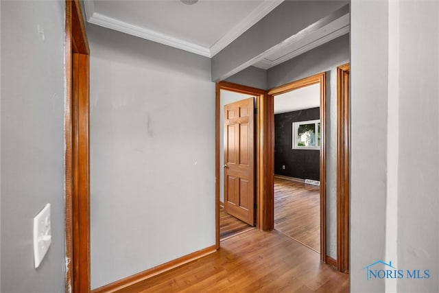 5201 Arbor Way, Sylvania, OH 43560 - hall with ornamental molding and light wood-style floors