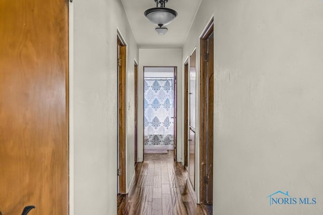 3253 Radford Dr, Toledo, OH 43614 - hall with wood finished floors