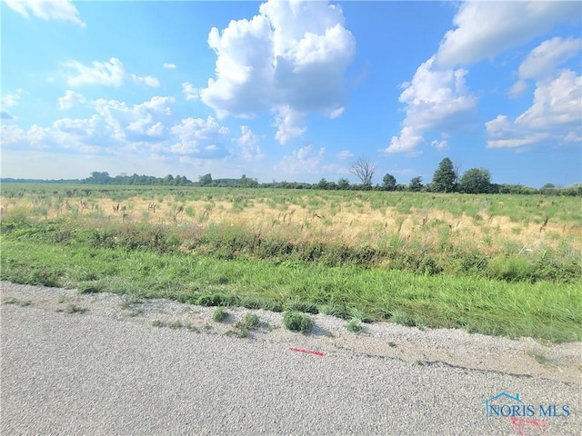 0 W Walbridge E Rd, Martin, OH 43445 - photo 2