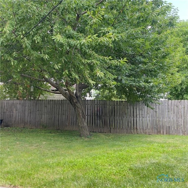 415 W Northgate Pkwy, Toledo, OH 43612 - view of yard