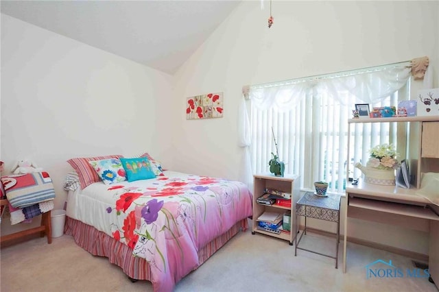 7673 Brookstone Dr Unit U7673, Findlay, OH 45840 - bedroom with lofted ceiling and carpet