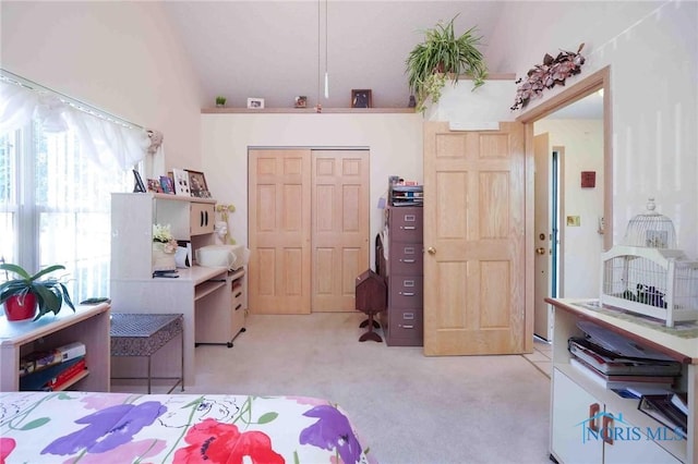 7673 Brookstone Dr Unit U7673, Findlay, OH 45840 - bedroom featuring light colored carpet and a closet