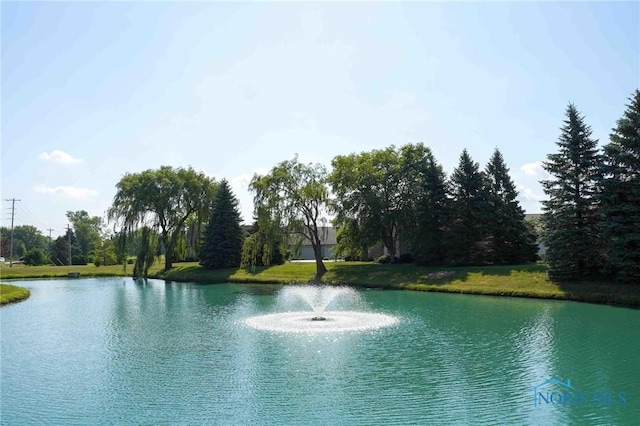 7673 Brookstone Dr Unit U7673, Findlay, OH 45840 - water view