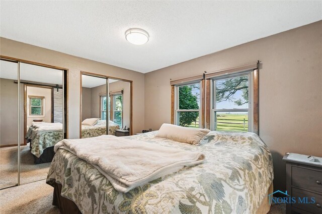 12891 County Road J, Wauseon, OH 43567 - photo 21