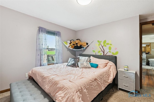 12891 County Road J, Wauseon, OH 43567 - photo 24
