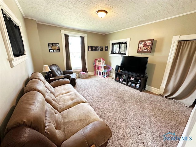 201 E Saffell Ave, Sycamore, OH 44882 - living area with carpet flooring and crown molding