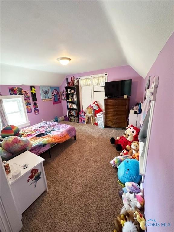 201 E Saffell Ave, Sycamore, OH 44882 - carpeted bedroom with vaulted ceiling