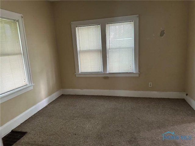 1623 W Central Ave, Toledo, OH 43606 - empty room with carpet floors and plenty of natural light