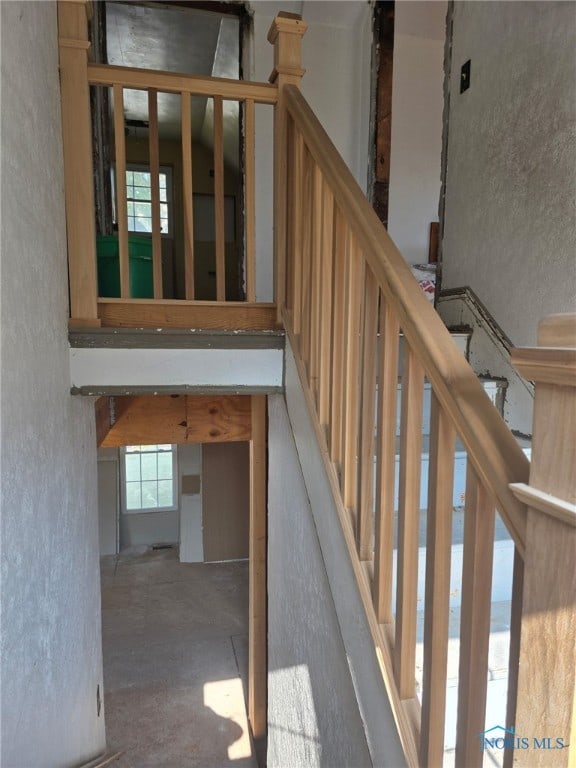 413 Fernwood Ave, Delta, OH 43515 - photo 12