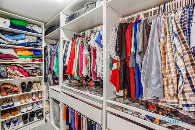 2838 Long View Dr, Maumee, OH 43537 - view of spacious closet