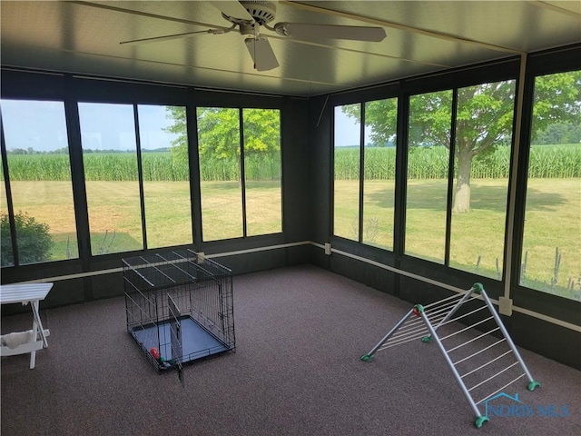 20359 Township Road 140, Kenton, OH 43326 - photo 31