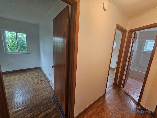 2916 Upton Ave, Toledo, OH 43606 - corridor with wood finished floors, crown molding, and plenty of natural light