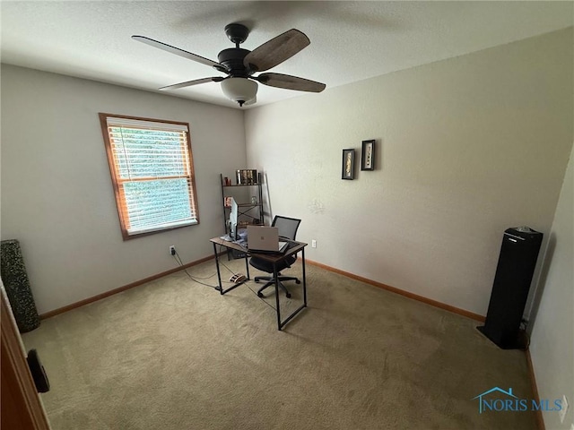 9151 Rolling Hill Rd, Holland, OH 43528 - office space with light colored carpet and ceiling fan