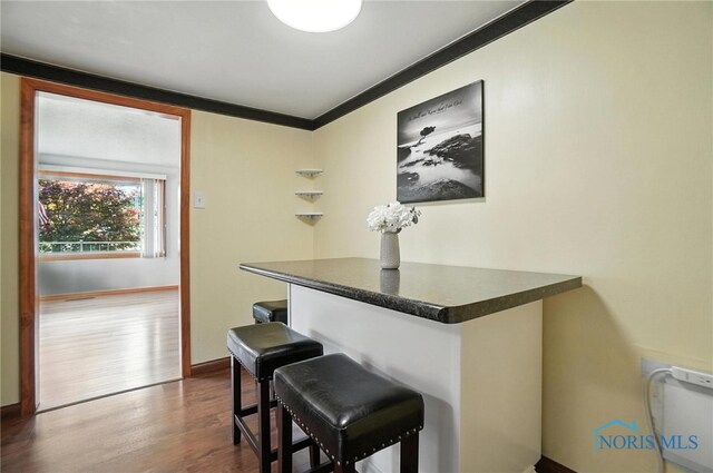 719 S Shannon St, Van Wert, OH 45891 - bar area with dark wood-style flooring and crown molding
