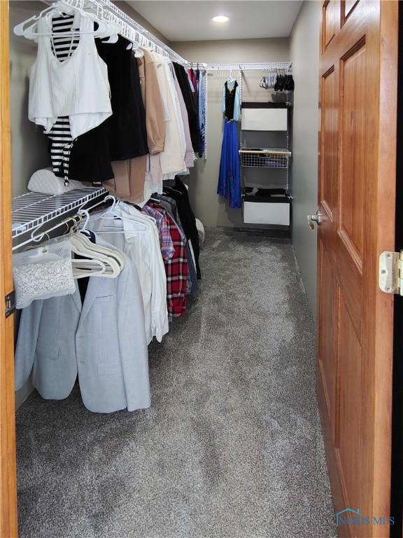 15740 Hill Rd, Defiance, OH 43512 - spacious closet with carpet