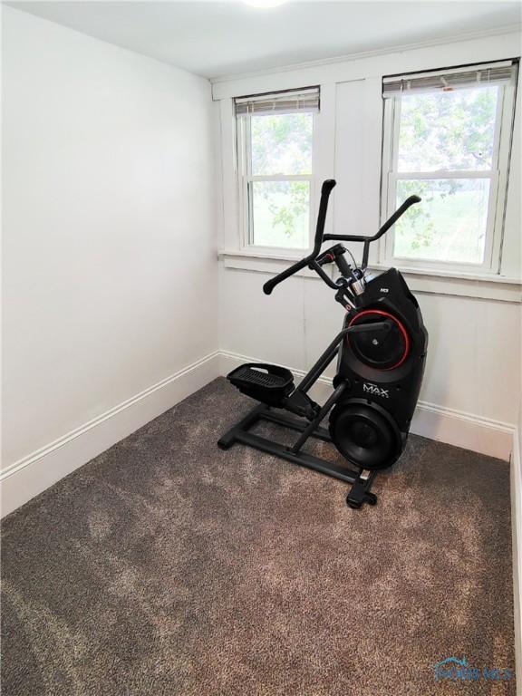 15740 Hill Rd, Defiance, OH 43512 - exercise room featuring baseboards and carpet floors