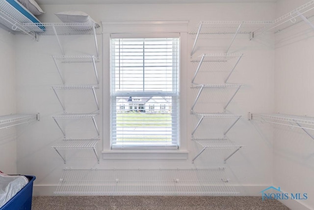 8501 Valley Gate, Waterville, OH 43566 - photo 29